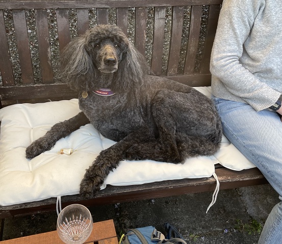 EFF0FCA3-896F-43AA-AC4D-0AC83BA8A8AE